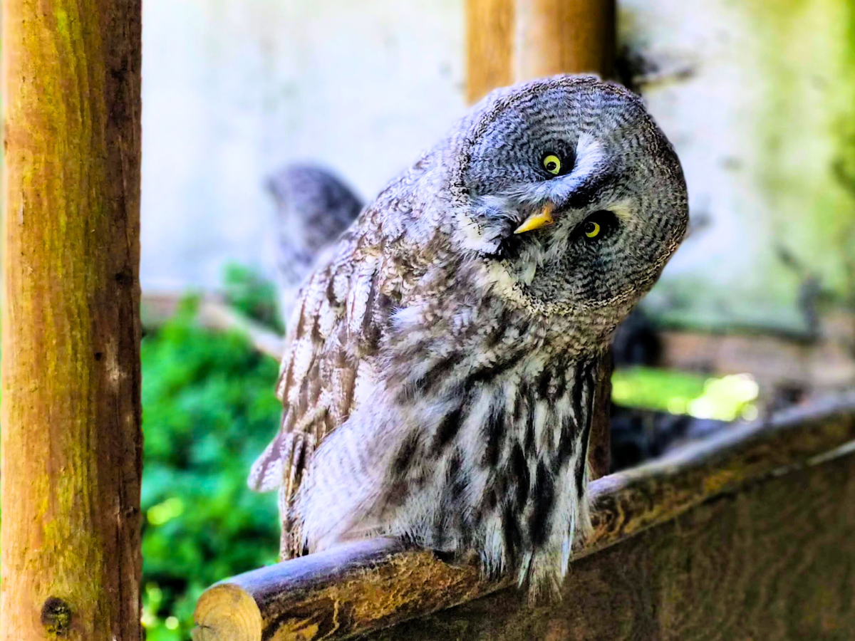 Read more about the article Revolutionizing Business Engagement: How to Learn from Top Content Creators